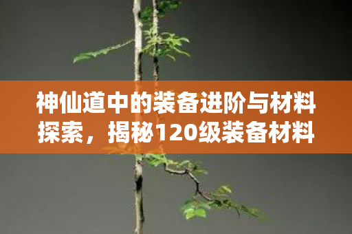 神仙道中的装备进阶与材料探索图片