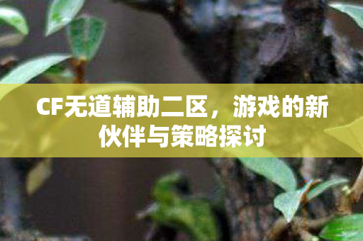 游戏的新伙伴与策略探讨图片