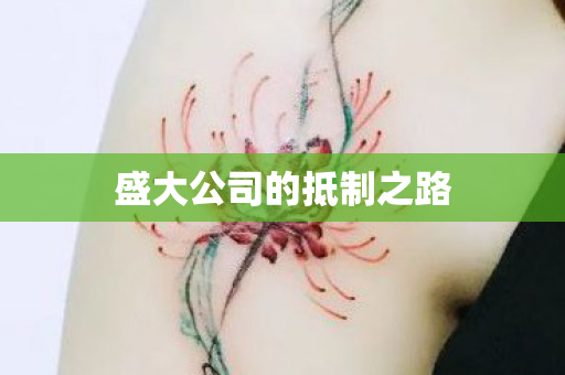 盛大公司的抵制之路图片