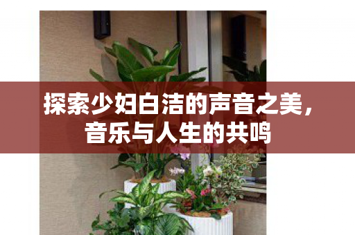 探索少妇白洁的声音之美图片