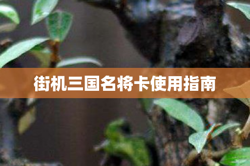 街机三国名将卡使用指南图片
