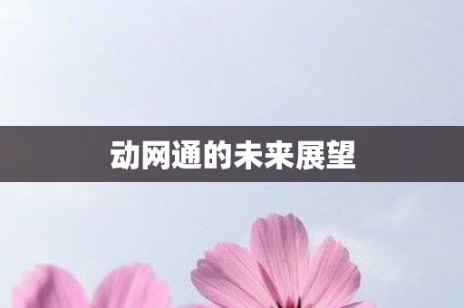 动网通的未来展望图片