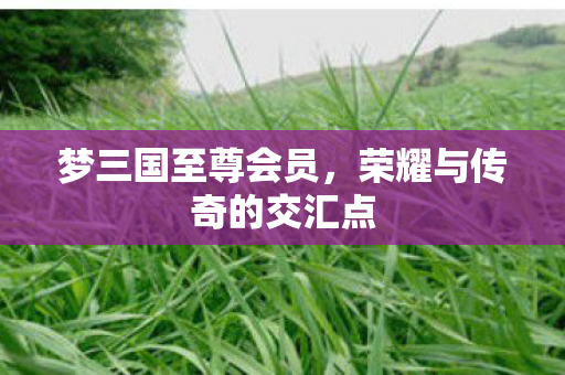 荣耀与传奇的交汇点图片
