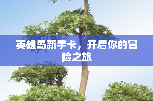 开启你的冒险之旅图片