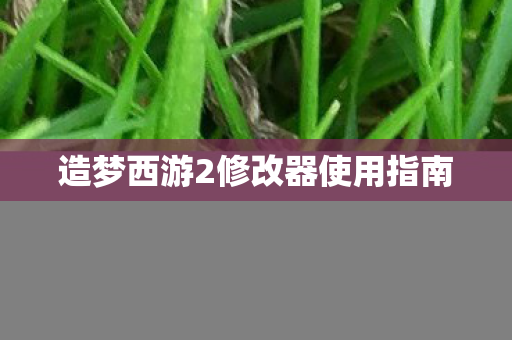 造梦西游2修改器使用指南图片