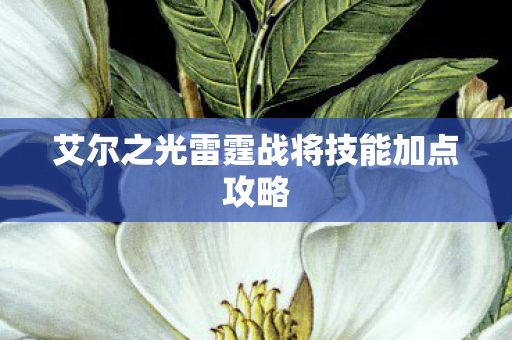 艾尔之光雷霆战将技能加点攻略图片