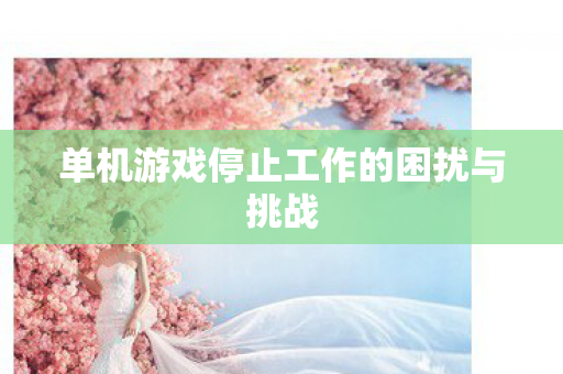 单机游戏停止工作的困扰与挑战图片