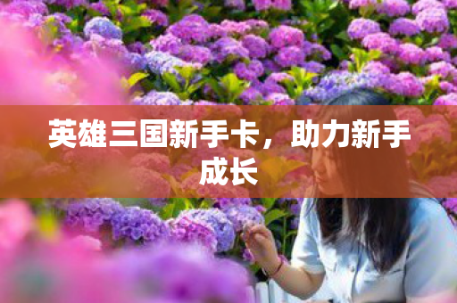 英雄三国新手卡图片