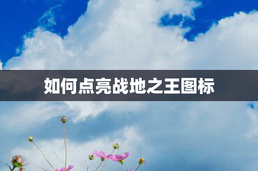 如何点亮战地之王图标图片