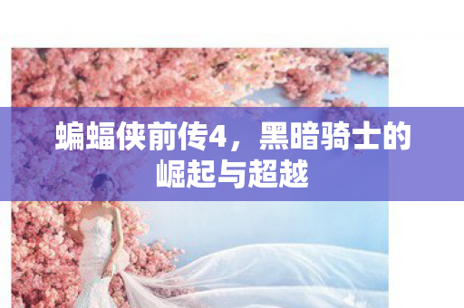 黑暗骑士的崛起与超越图片