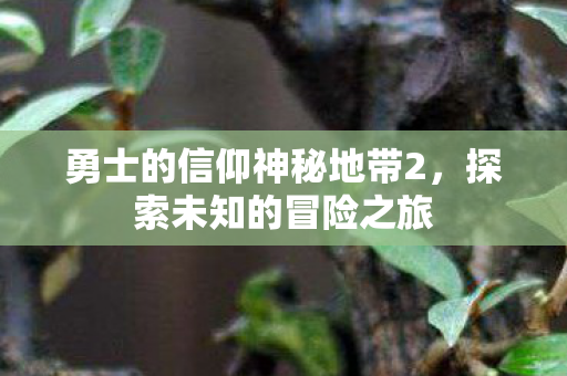 勇士的信仰神秘地带2图片