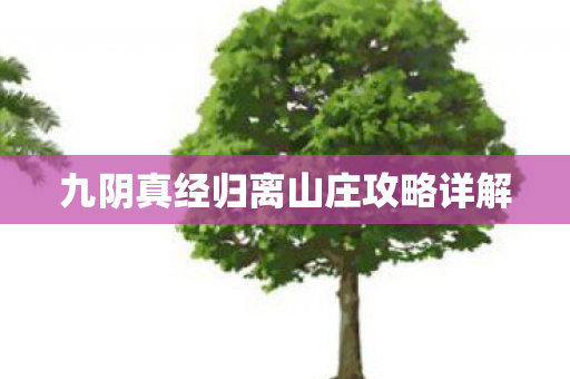 九阴真经归离山庄攻略详解图片