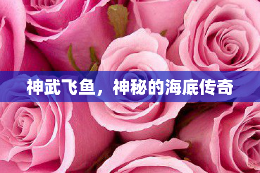 神秘的海底传奇图片