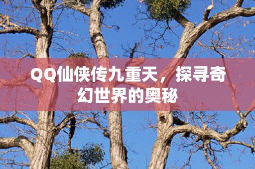 探寻奇幻世界的奥秘图片