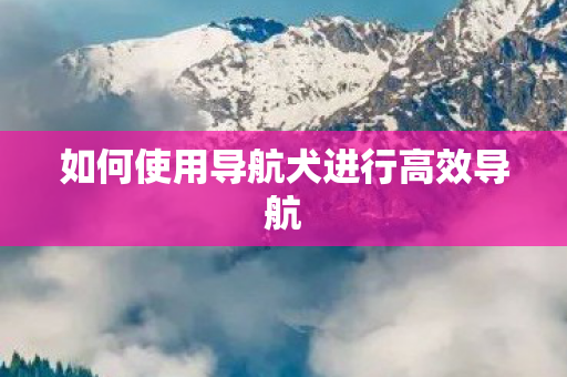 如何使用导航犬进行高效导航图片