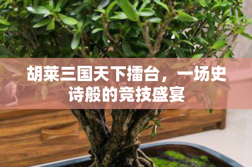 一场史诗般的竞技盛宴图片