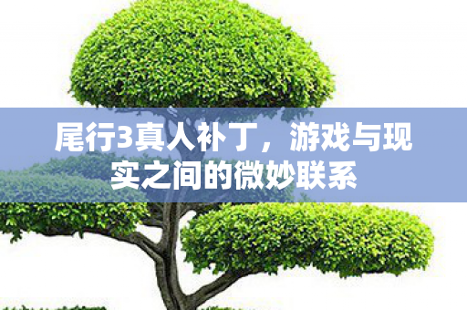 游戏与现实之间的微妙联系图片