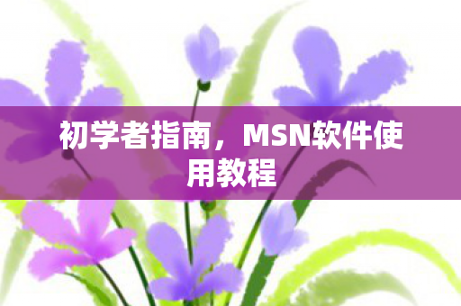 MSN软件使用教程图片
