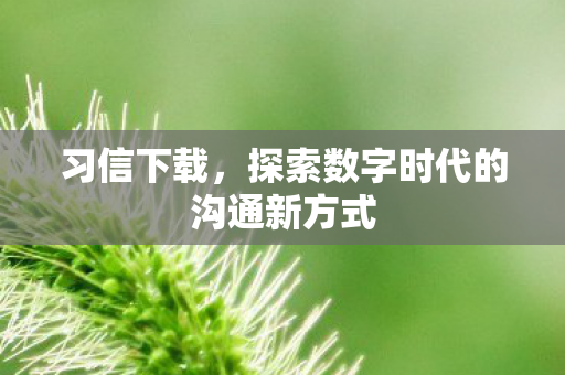 探索数字时代的沟通新方式图片