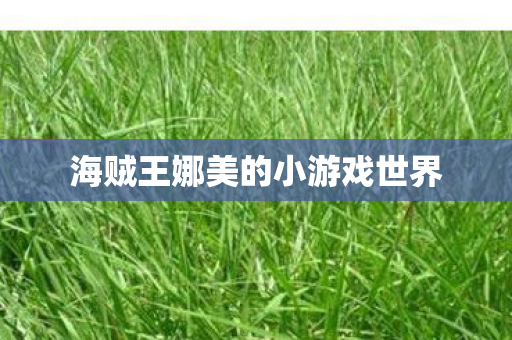 海贼王娜美的小游戏世界图片