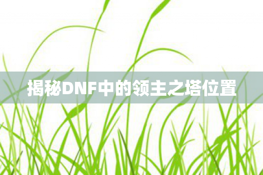 揭秘DNF中的领主之塔位置图片
