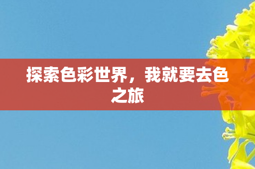 我就要去色之旅图片