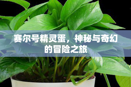 神秘与奇幻的冒险之旅图片