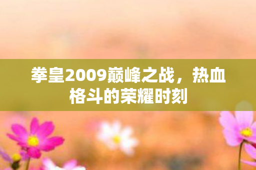 拳皇2009巅峰之战图片