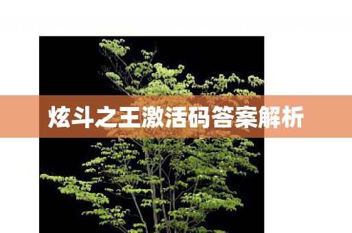 炫斗之王激活码答案解析图片