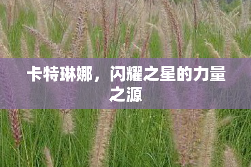 闪耀之星的力量之源图片