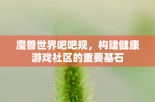构建健康游戏社区的重要基石图片