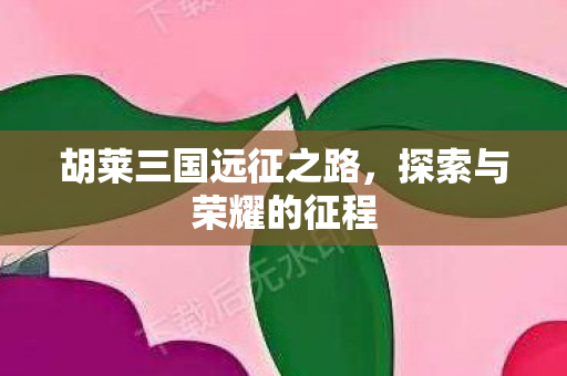胡莱三国远征之路图片