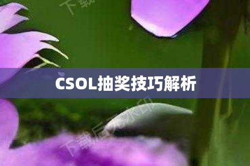 CSOL抽奖技巧解析图片