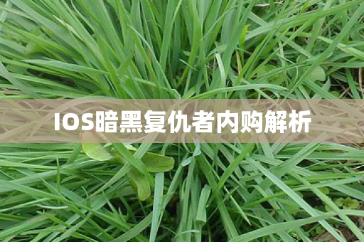 IOS暗黑复仇者内购解析图片