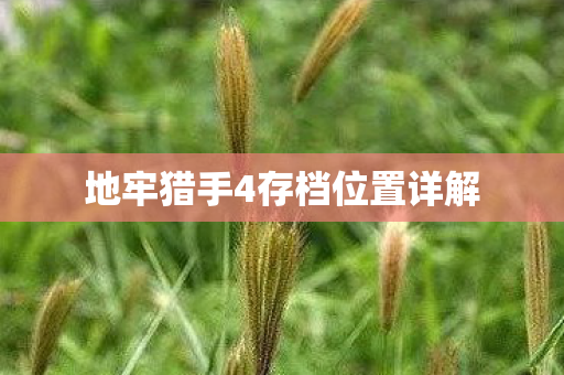 地牢猎手4存档位置详解图片