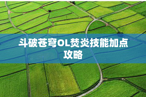 斗破苍穹OL焚炎技能加点攻略图片
