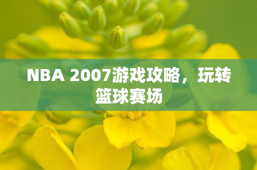NBA 2007游戏攻略图片