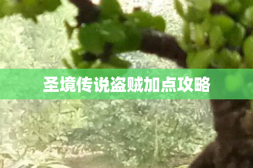 圣境传说盗贼加点攻略图片