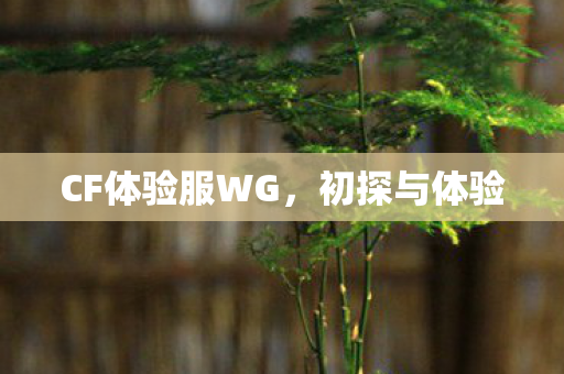 CF体验服WG图片