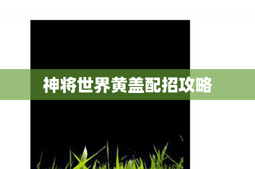 神将世界黄盖配招攻略图片