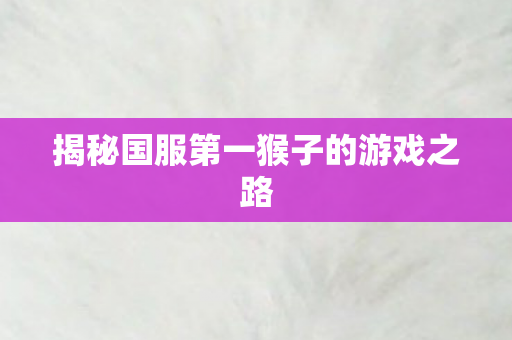 揭秘国服第一猴子的游戏之路图片