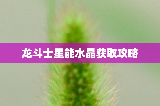 龙斗士星能水晶获取攻略图片