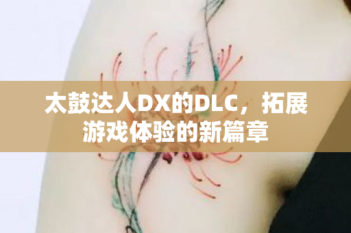 太鼓达人DX的DLC图片