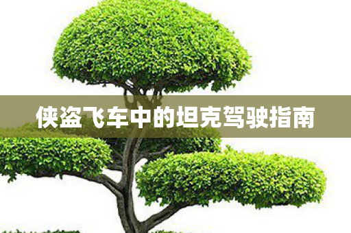 侠盗飞车中的坦克驾驶指南图片