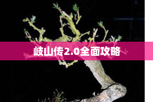0全面攻略图片