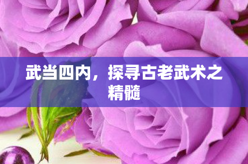 探寻古老武术之精髓图片