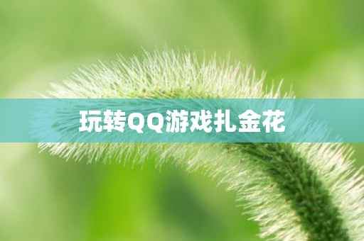 玩转QQ游戏扎金花图片