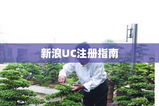 新浪UC注册指南图片
