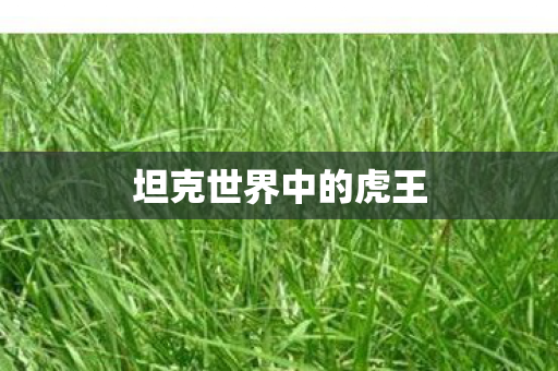 坦克世界中的虎王图片