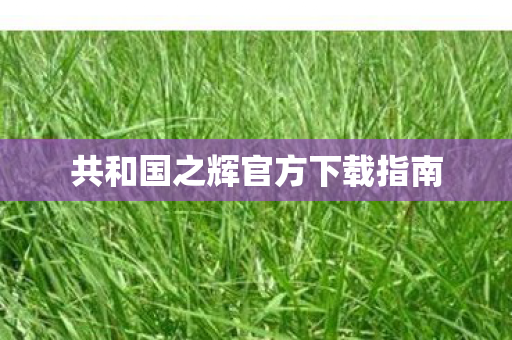 共和国之辉官方下载指南图片